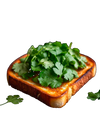 Cilantro on Toast Image