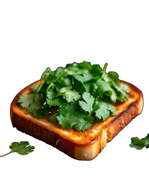 Cilantro on Toast 